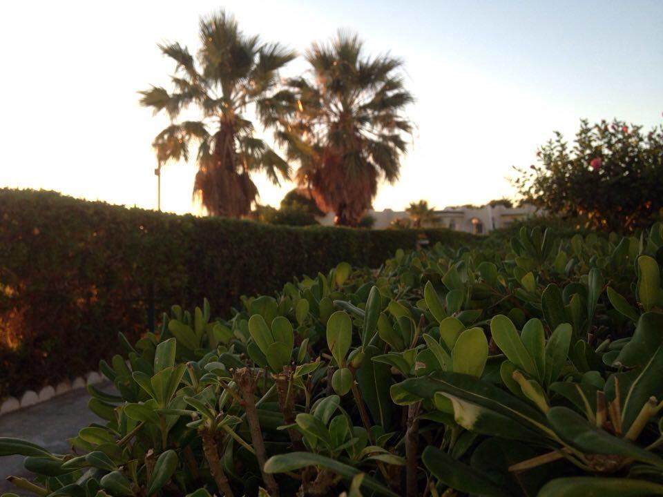 Complexe Touristique Sidi Salem Hotell Bizerte Exteriör bild